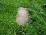 image of grave number 685047